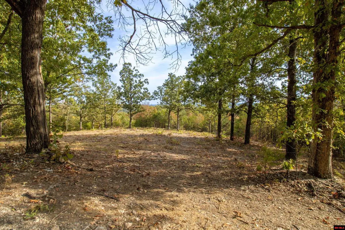 002-11022-44 CR 1420, Mountain Home, AR 72653 - #1
