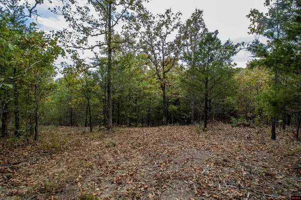 Lot 43 CR 1420, Mountain Home, AR 72653