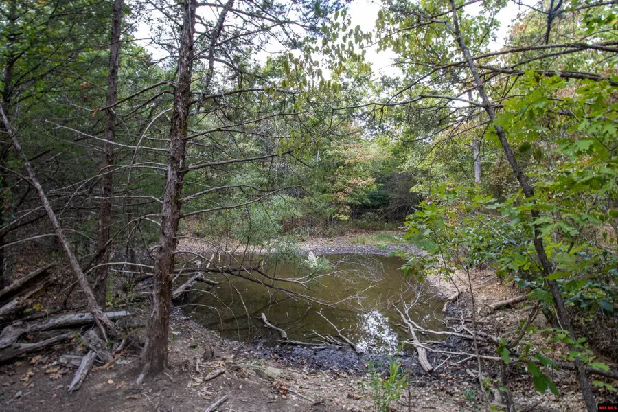 Lot 43 CR 1420, Mountain Home, AR 72653 - #2