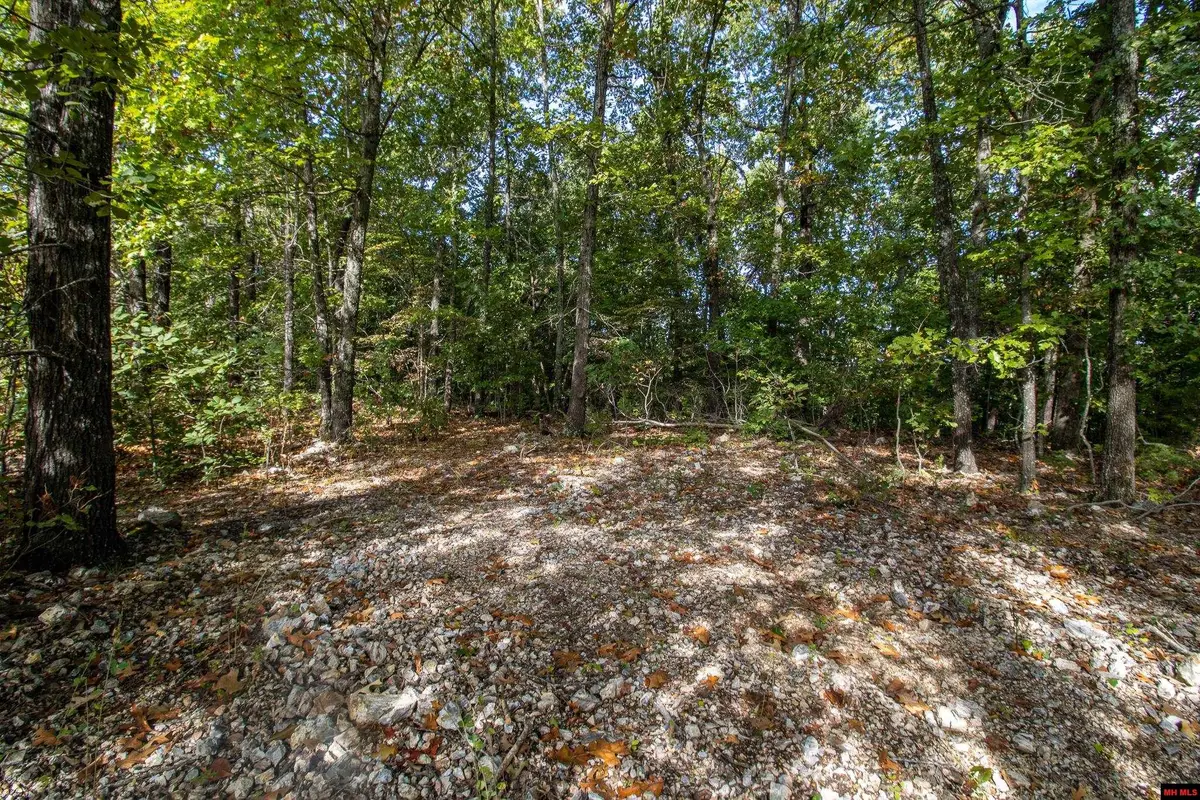 002-11022-044 CR 1420, Mountain Home, AR 72653 - #1