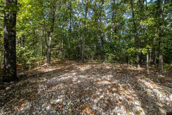 002-11022-044 CR 1420, Mountain Home, AR 72653