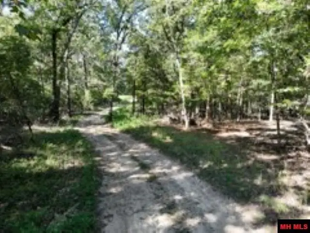 Lot 7 TIMBER SHOALS ROAD, Swan, MO 65627 - #2