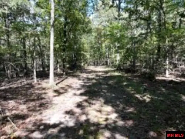 Lot 7 TIMBER SHOALS ROAD, Swan, MO 65627 - #3