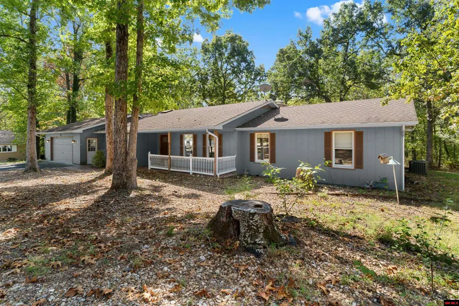 47 GWEN CIRCLE, Lakeview, AR 72642 - #3