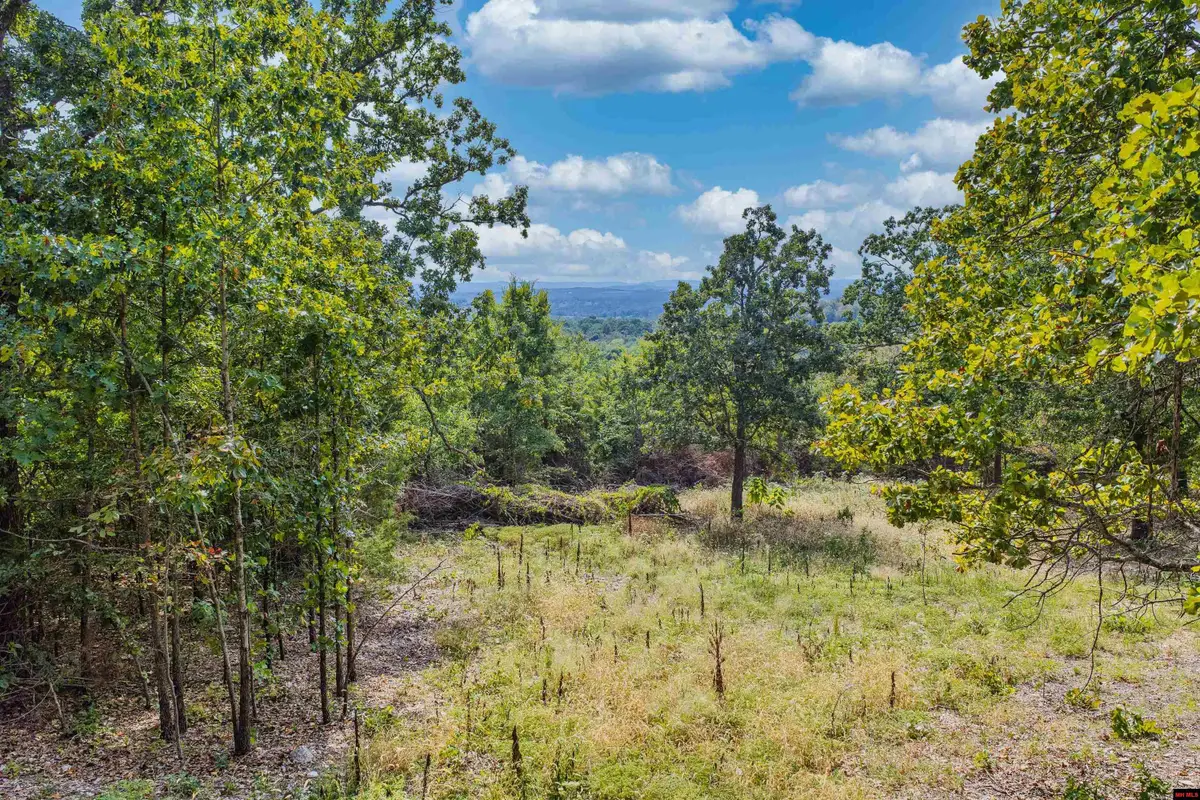 Lot 23 and 24 SUMMIT DRIVE, Mountain Home, AR 72653 - #1