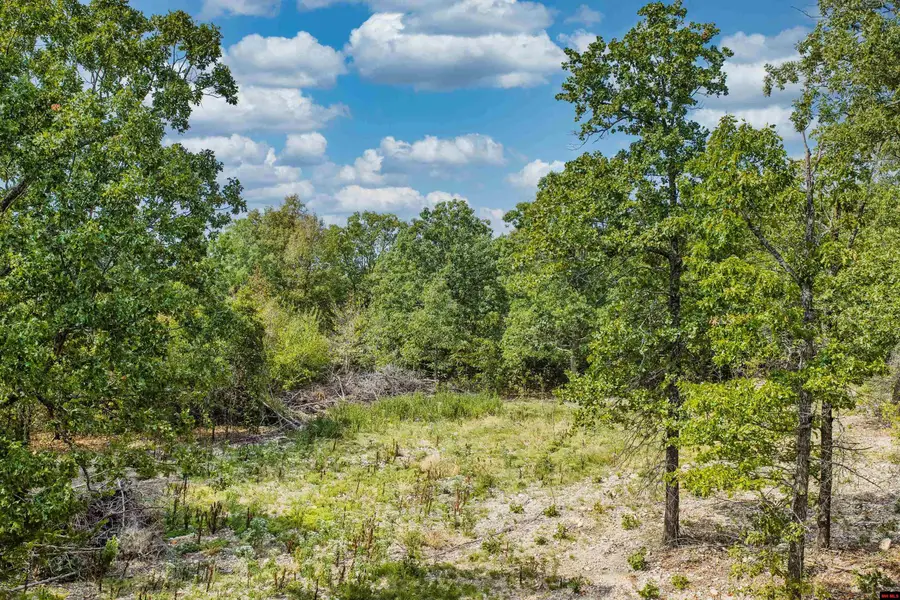Lot 23 and 24 SUMMIT DRIVE, Mountain Home, AR 72653 - #3