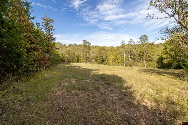 002-11022-055 CR 1420, Mountain Home, AR 72653