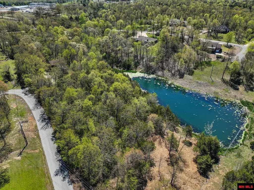 32 WILDWOOD CIRCLE, Mountain Home, AR 72653 - #1
