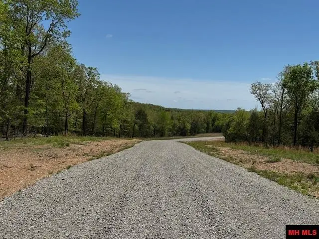 TR 7 & TR 8 PROVIDENCE RIDGE ROAD, Clarkridge, AR 72623 - #2