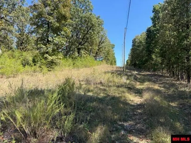 593 SOMER VIEW DRIVE, Clarkridge, AR 72623 - #3