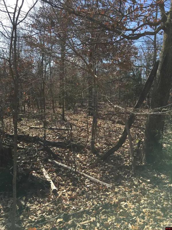 242 TUSCON LANE, Viola, AR 72583