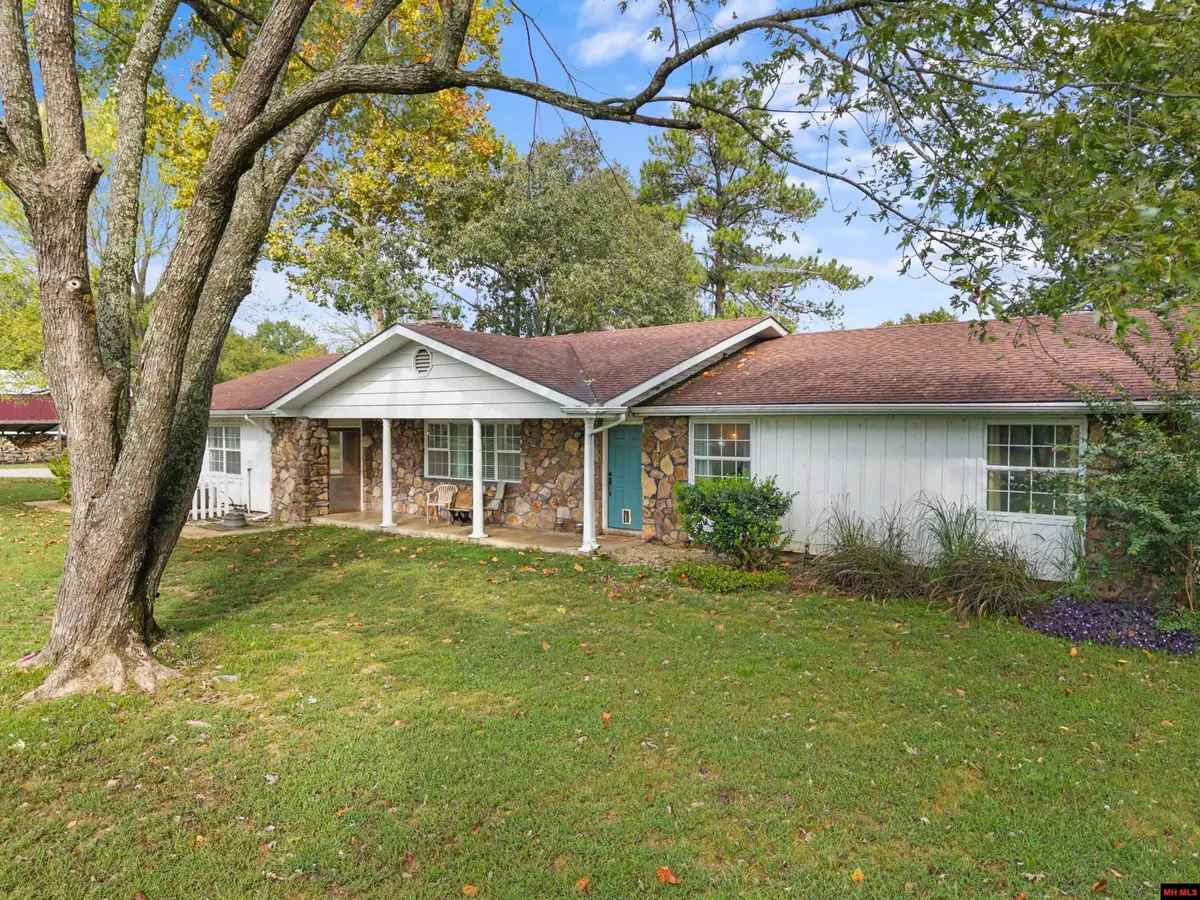 259 WILDCAT SHOALS ROAD, Gassville, AR 72635 - #1