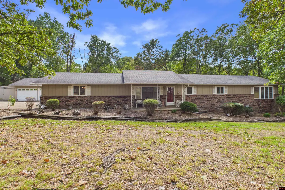 236 DEB-MAR WOODS TERRACE, Mountain Home, AR 72653 - #1