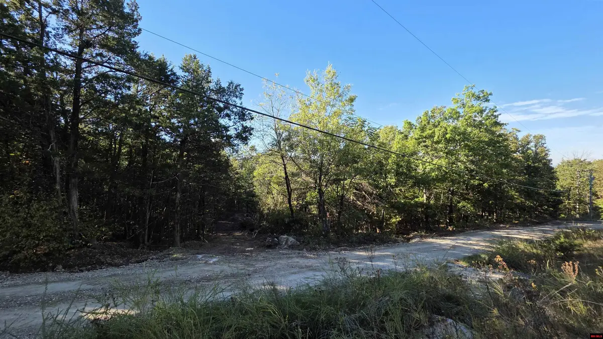 165 MC 3061, Yellville, AR 72687 - #1