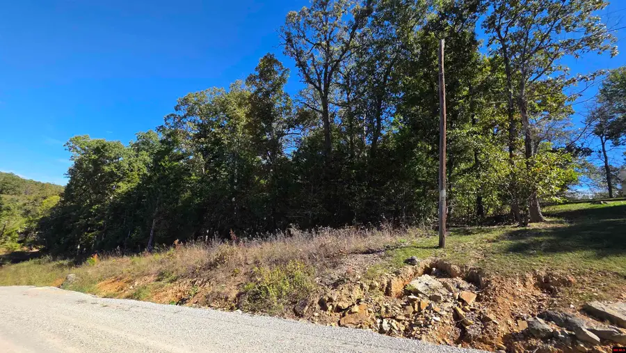 719 CR 615, Mountain Home, AR 72653 - #2