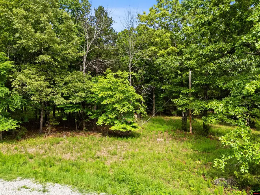 002-10045-029 SYCAMORE SPRINGS CIRCLE, Mountain Home, AR 72653 - #2