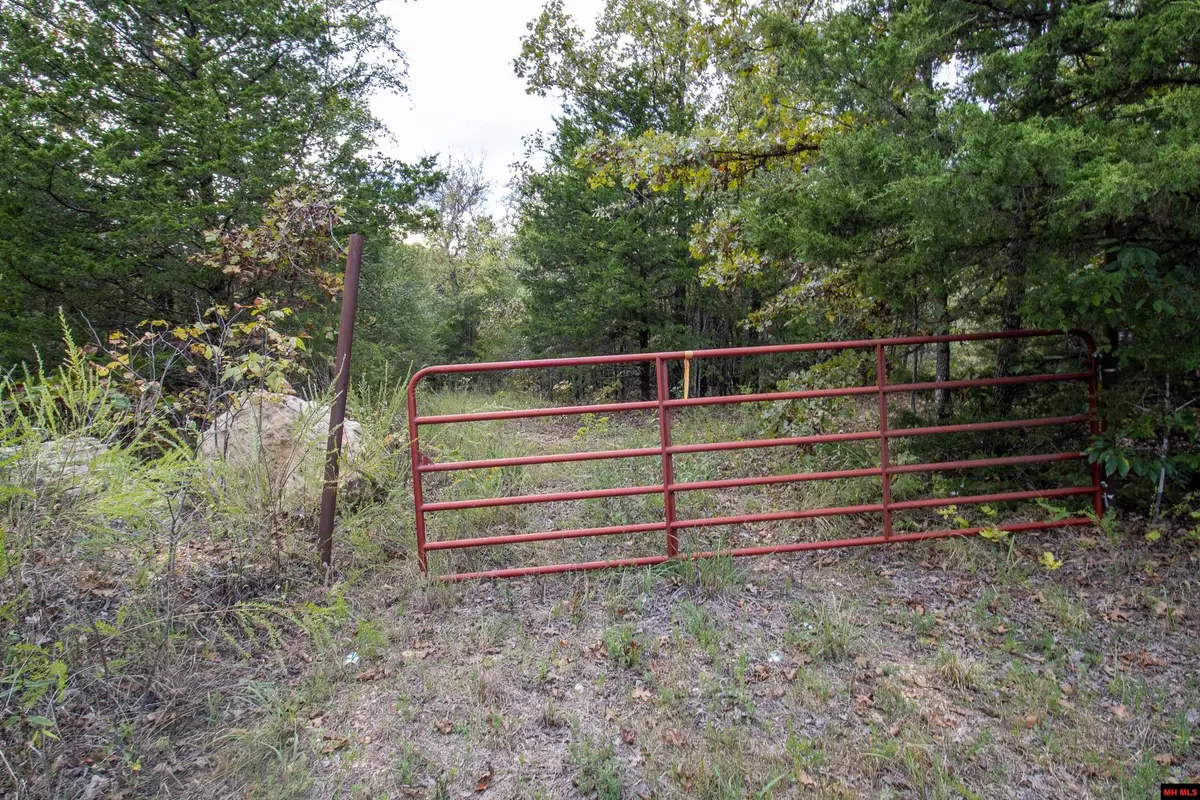 360 CR 1419, Mountain Home, AR 72653 - #1
