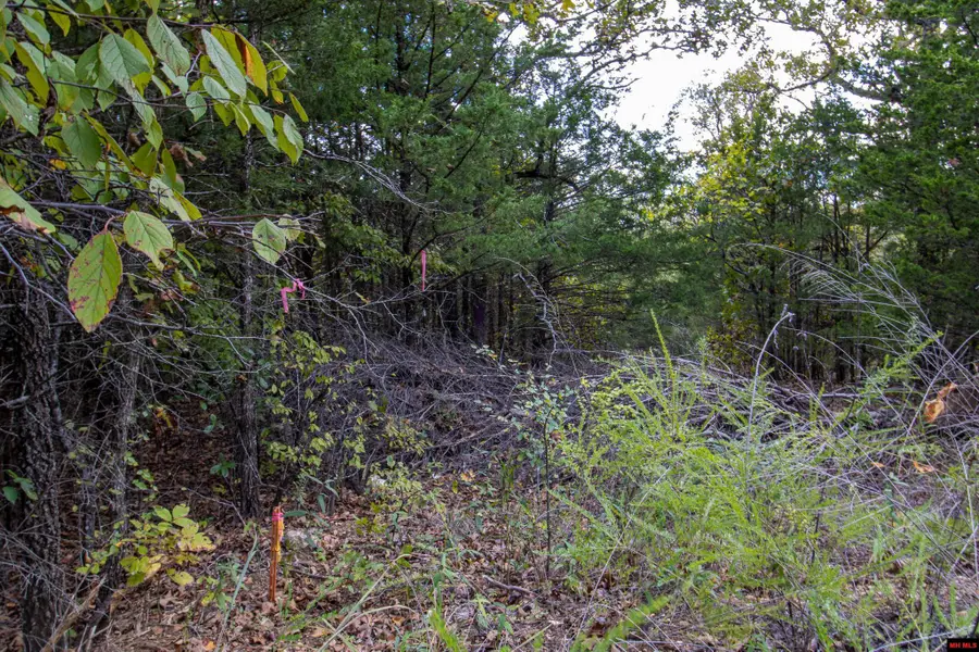360 CR 1419, Mountain Home, AR 72653 - #2