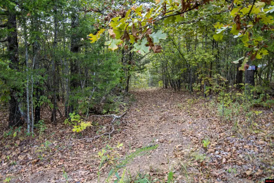 360 CR 1419, Mountain Home, AR 72653 - #3