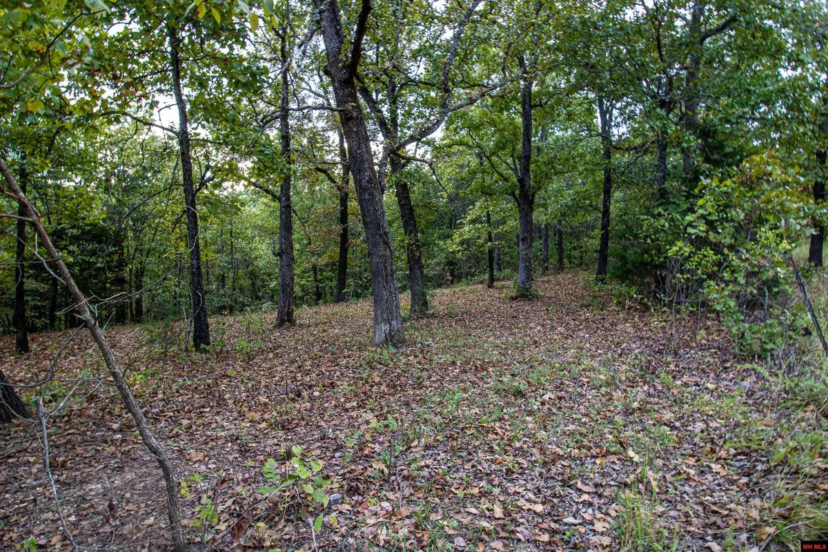 337 CR 1419, Mountain Home, AR 72653 - #1