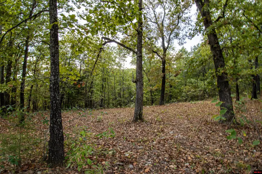 337 CR 1419, Mountain Home, AR 72653 - #3