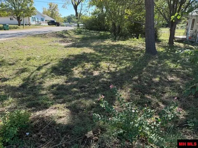 000 ALFORD STREET, Flippin, AR 72634 - #1