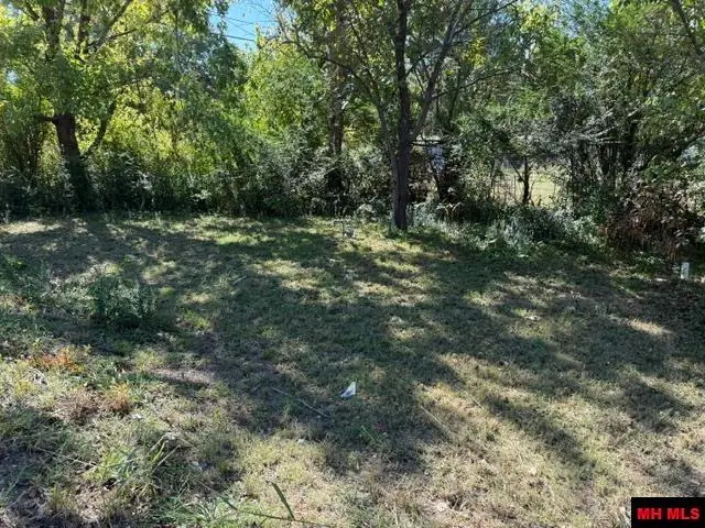 000 ALFORD STREET, Flippin, AR 72634 - #2