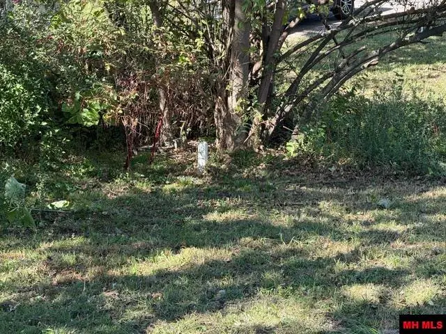 000 ALFORD STREET, Flippin, AR 72634 - #3