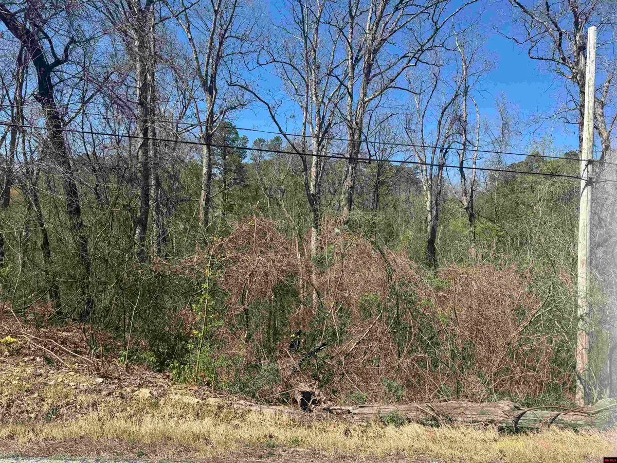 009-00062-000 HWY 177, Salesville, AR 72653 - #1