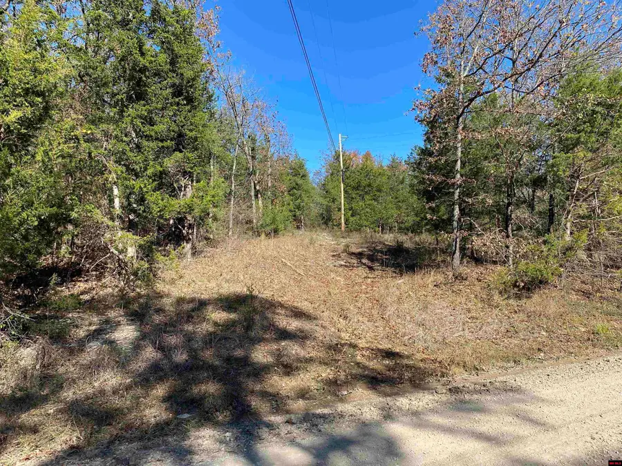 790-00917-000 RAILROAD LANE, Flippin, AR 72677 - #3