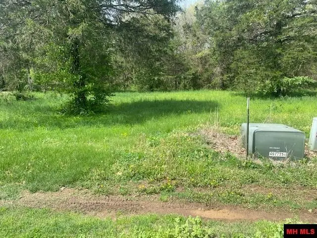 Lots 4, 16, 17 HAMPSHIRE CIRCLE, Mountain Home, AR 72653 - #2