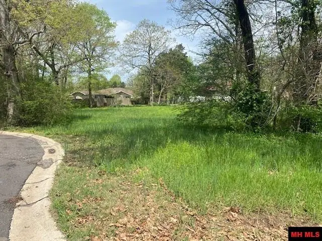 Lots 4, 16, 17 HAMPSHIRE CIRCLE, Mountain Home, AR 72653 - #3