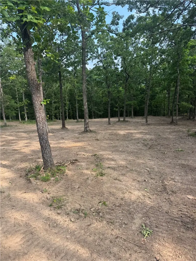 14516 Friendship Church Road, West Fork, AR 72774 - #1