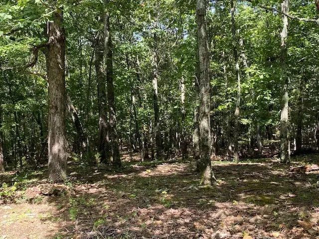 14516 Friendship Church Road, West Fork, AR 72774 - #3