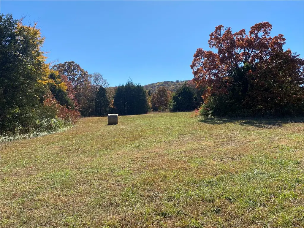 Creel Road, Harrison, AR 72601 - #1