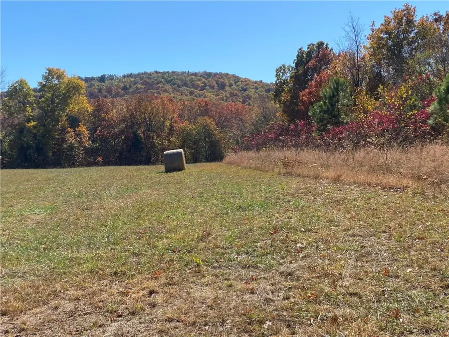 Creel Road, Harrison, AR 72601 - #3