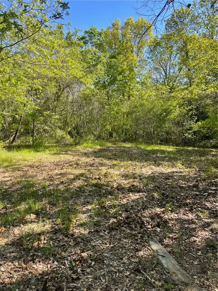 13AC Gann Ridge Road, Garfield, AR 72732 - #3