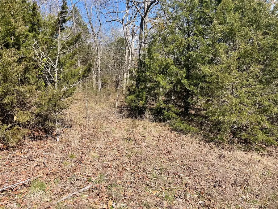 18 North Star Loop, Holiday Island, AR 72631 - #2