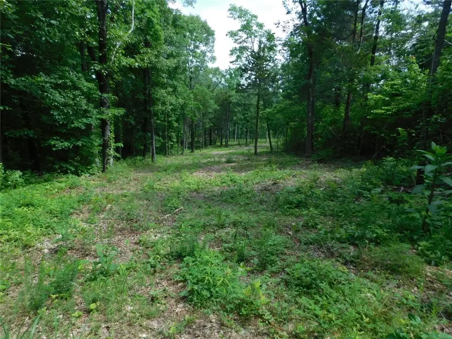 Nc 2900, Marble Falls, AR 72648 - #2