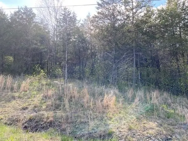 119 Thunderbird Drive #7, Holiday Island, AR 72631