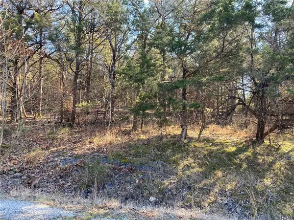 14 Hillside Drive #10, Holiday Island, AR 72631