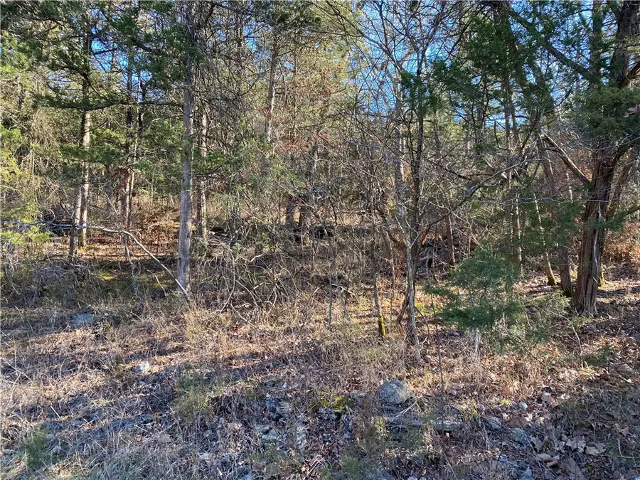 14 Hillside Drive #10, Holiday Island, AR 72631 - #3