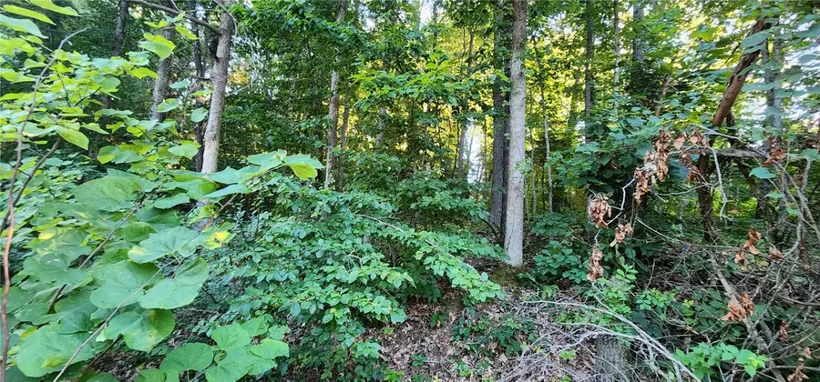 Lot 15 N Heanor Lane, Bella Vista, AR 72714 - #3