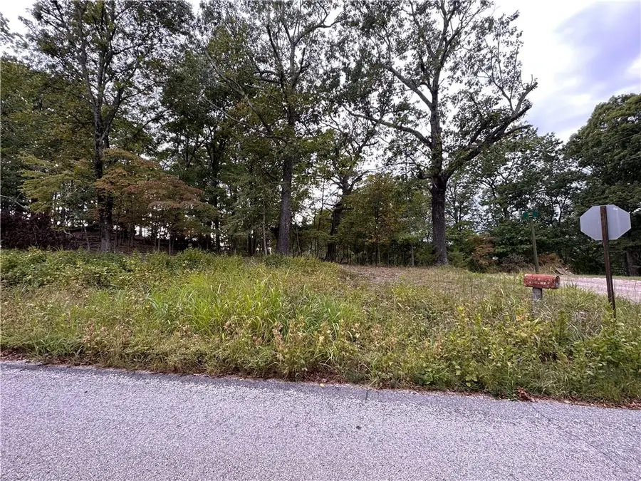 Lot 3 Silver Summit Road, Eureka Springs, AR 72631 - #2