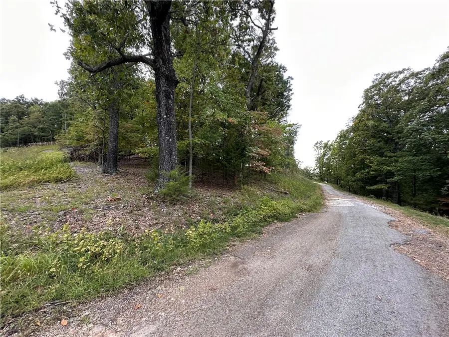 Lot 3 Silver Summit Road, Eureka Springs, AR 72631 - #3