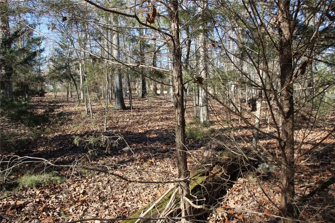 001 TBD Versailles Drive, Bull Shoals, AR 72619 - #1