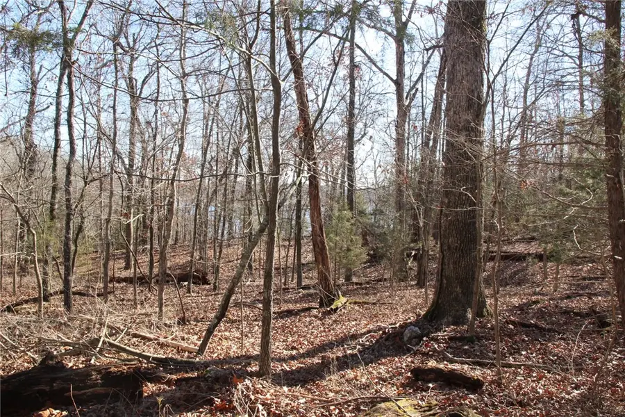 001 TBD Versailles Drive, Bull Shoals, AR 72619 - #3