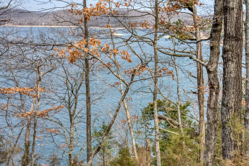 The Pointe Drive, Eureka Springs, AR 72631 - #1