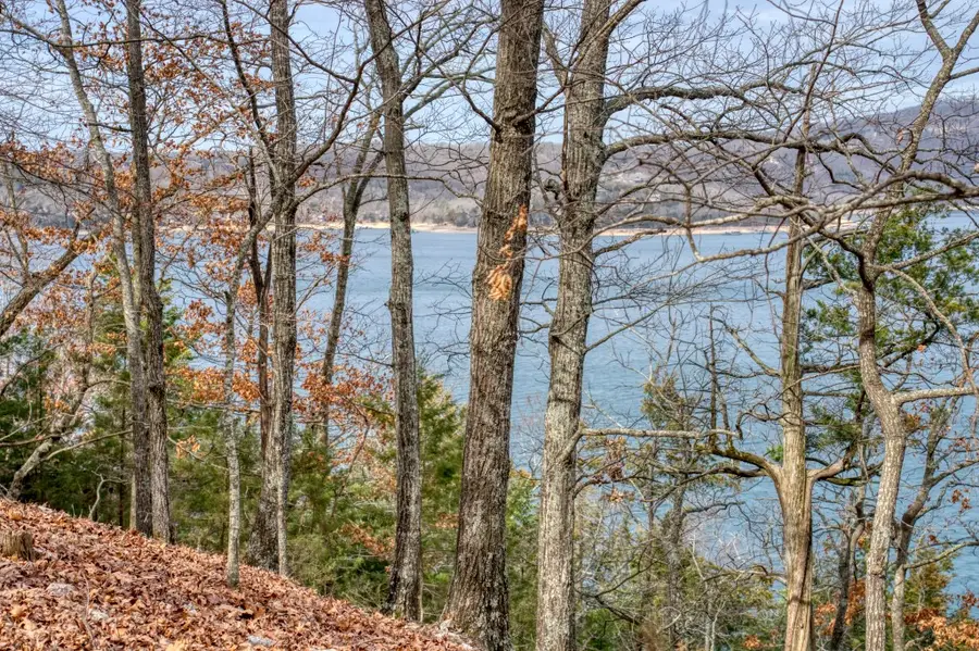 The Pointe Drive, Eureka Springs, AR 72631 - #2
