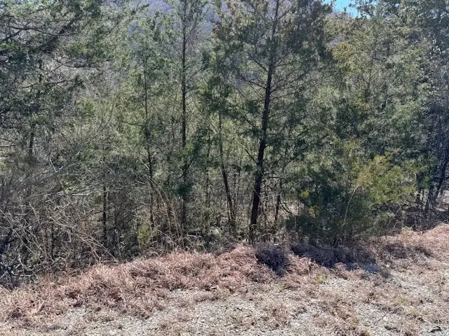 15 Mohawk Lane #12, Holiday Island, AR 72631 - #3